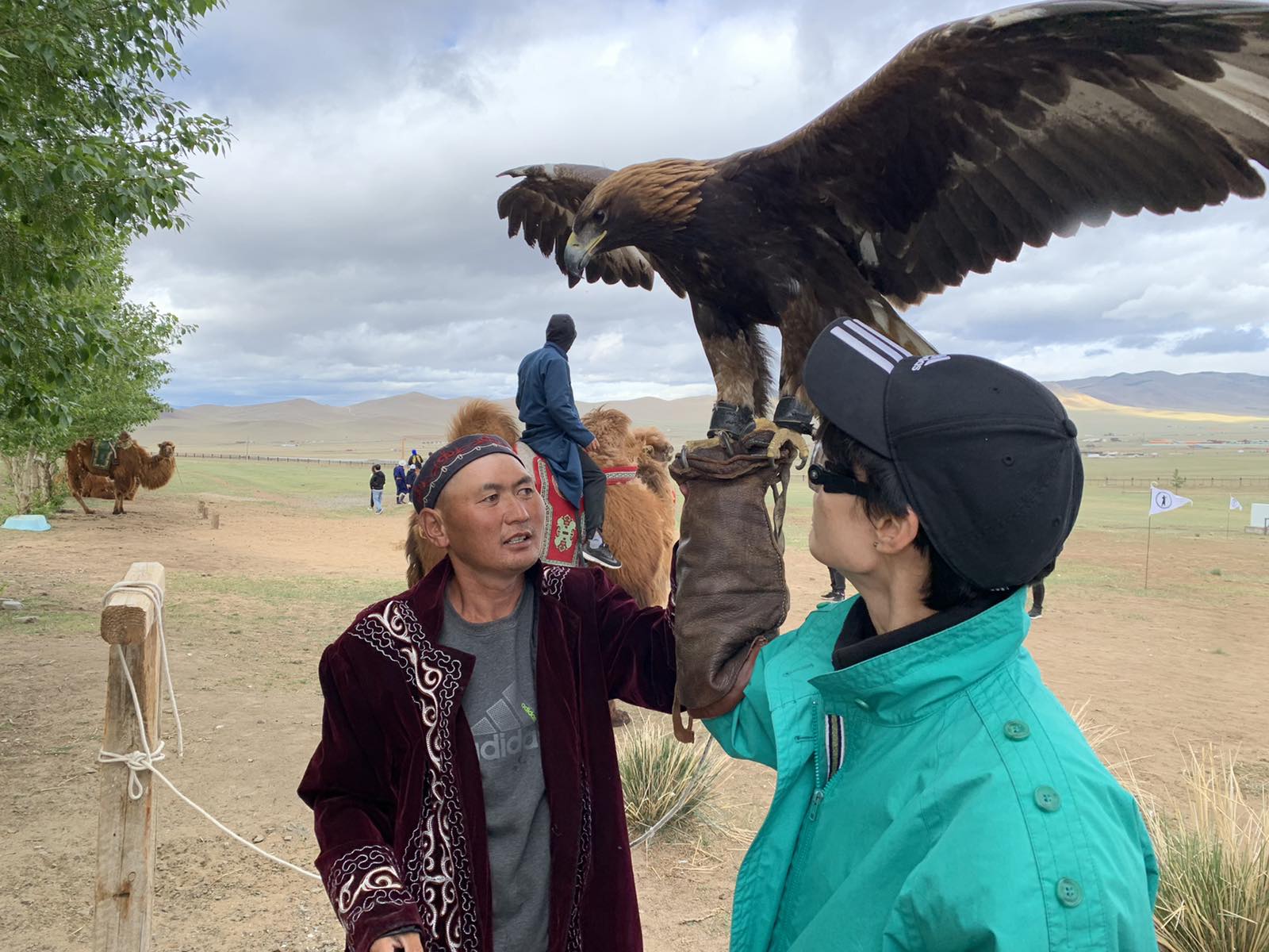 Foreign tourists visiting Mongolia reached 208,000