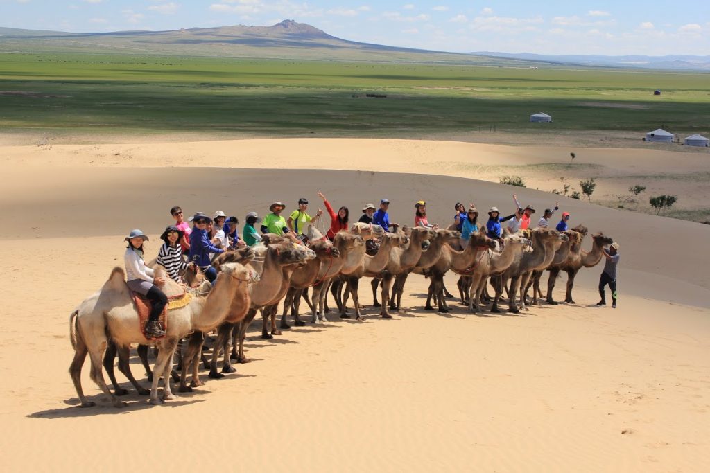 Elsen Tasarkhai (Mini Gobi)