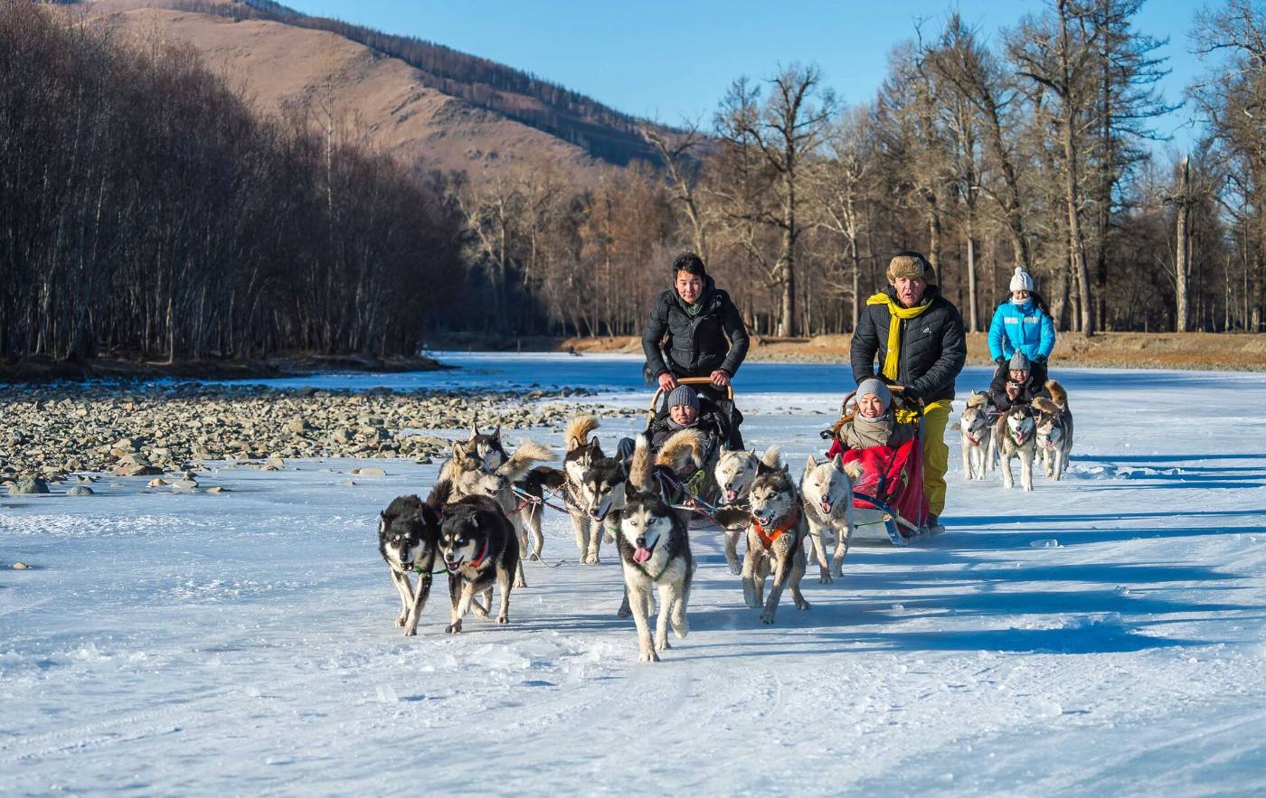 Dog Sledding Experience 🐕🛷❄️