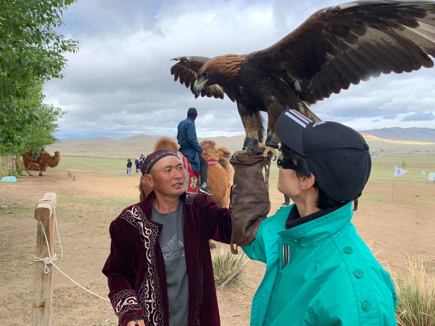 Golden Eagle Experience in Terelj National Park