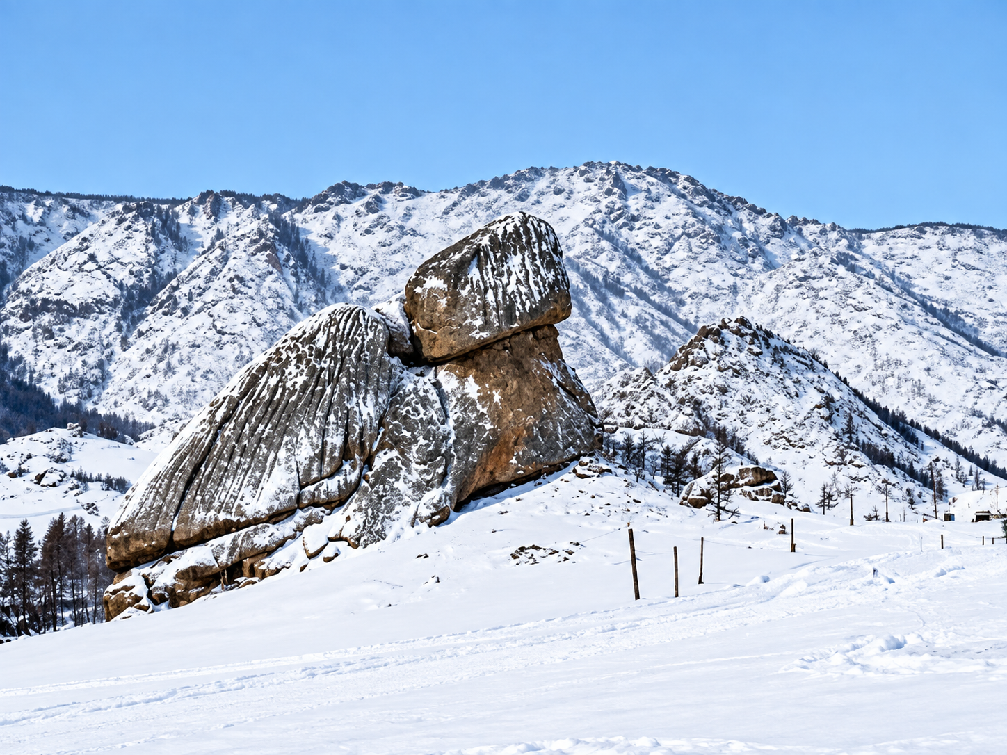 【3日目】犬ぞり体験 🐕🛷❄️